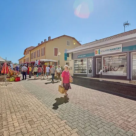 Spacieux T2 Avec Wifi à - Animaux Bienvenus - Fr-1-841-45 Appartamento Barbotan-les-Thermes