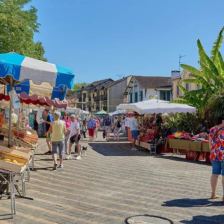 Appartement T2 Spacieux Avec Balcon Sud, Animaux Admis - Fr-1-841-45 *